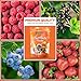 Fruit Pectin Powder 2 lbs - For Canning Jams and Jellies - Natural, Vegan and NON-GMO - Premium Bulk Ingredient Mix - Great for Apple Pie Filling - By Fit Lane Nutrition - Value Size Bag
