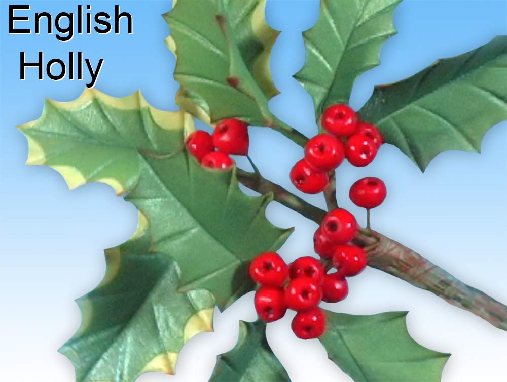 Holiday Flowers in Sugar with Scott Clark Woolley