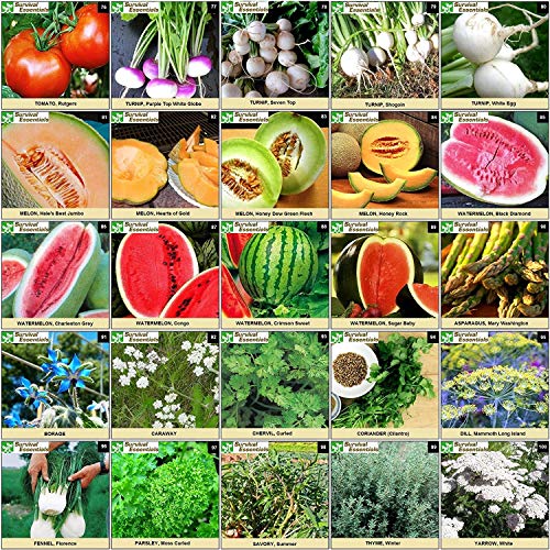 Survival Essentials Heirloom Seed Vault, 17,500 Non-GMO Seeds-100 Variety - Image 5