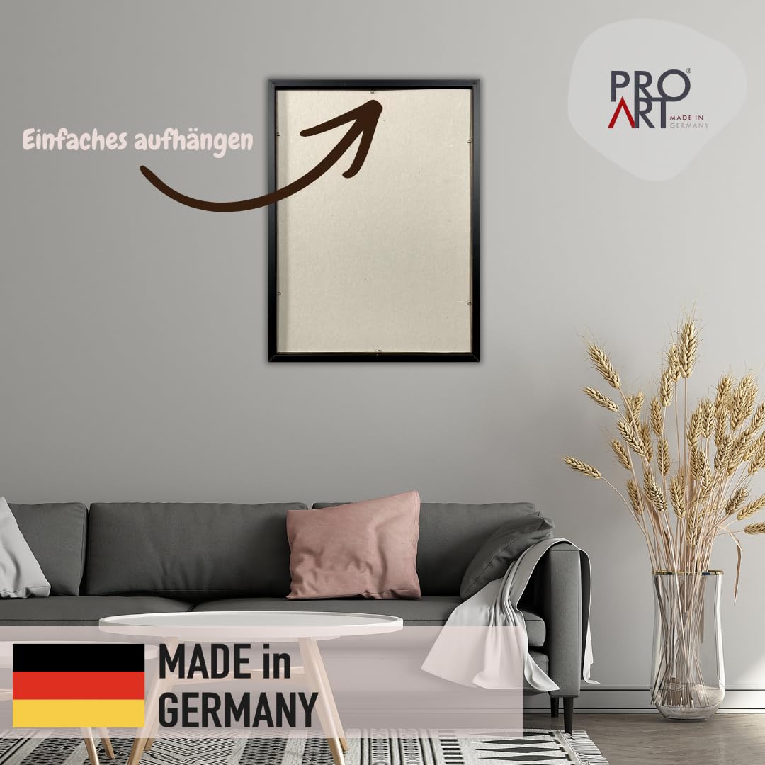 Pro-Art Gerahmtes Bild 50x70 cm – Frau auf Toilette – Lustiges Schwarz-Weiß WC-Wandbild mit Echtglas – Hochwertiger Druck – Handgefertigt in Deutschland