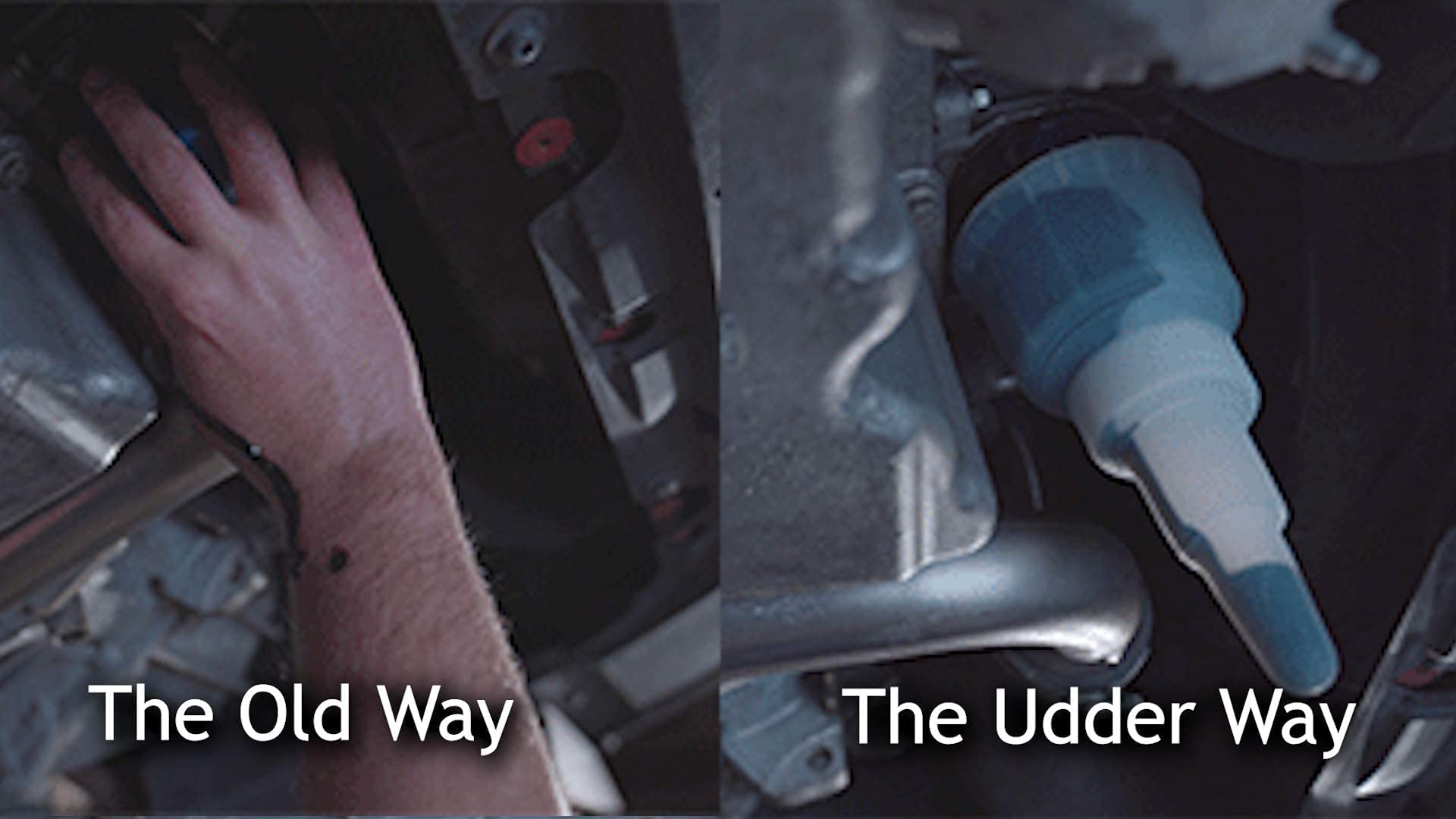 Buy OIL UDDER X Filters up to 2.75" diameter For Cars and Small SUV's 3 in 1 Spill Free