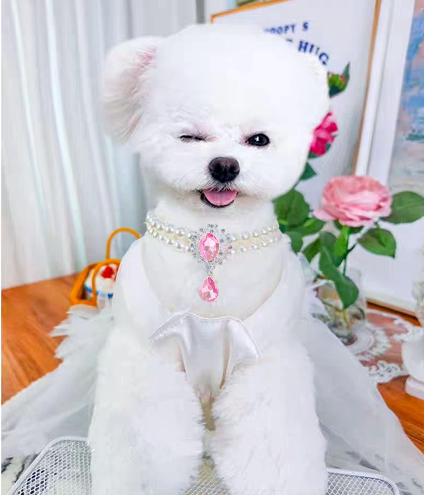 Amazon.com : Daovace 2 Row Pearls Collar for Cats Pearl Dog Collar 