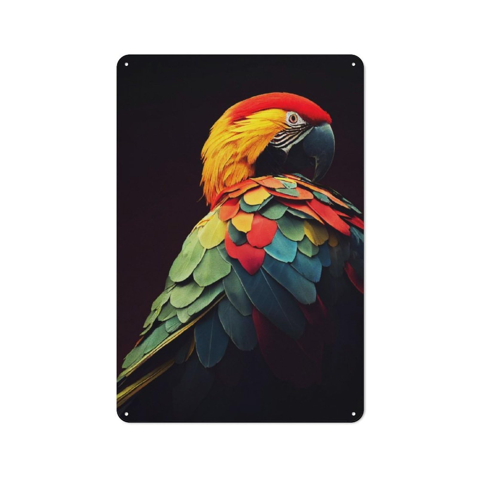 Junmoney Judgmental Parrot Retro Metal Sign 30X20cm For Lounge Or Reading Corner, For An Autumn Wall Display In Lounge And Reading Corner