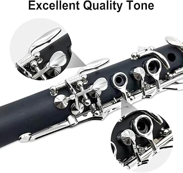 Yinfente Professional Ebonite Clarinete B flat Clarinet for Beginner Students with 2 Barrels Hard Case Cleaning Kit Mouthpice Cork Grease Gloves