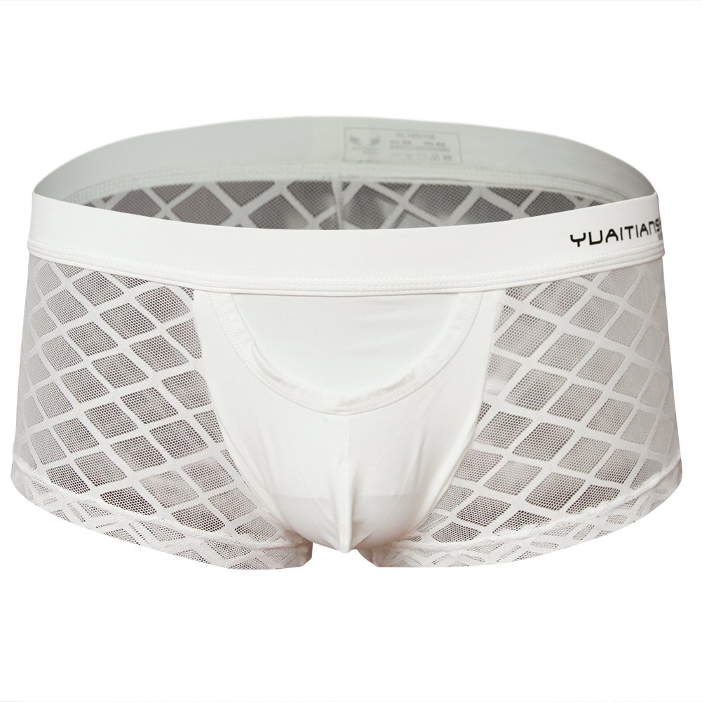 sandbank Men's Sexy Lingerie Mesh Transparent Boxer Briefs Underwear Panties (White, UK M(Tag L))