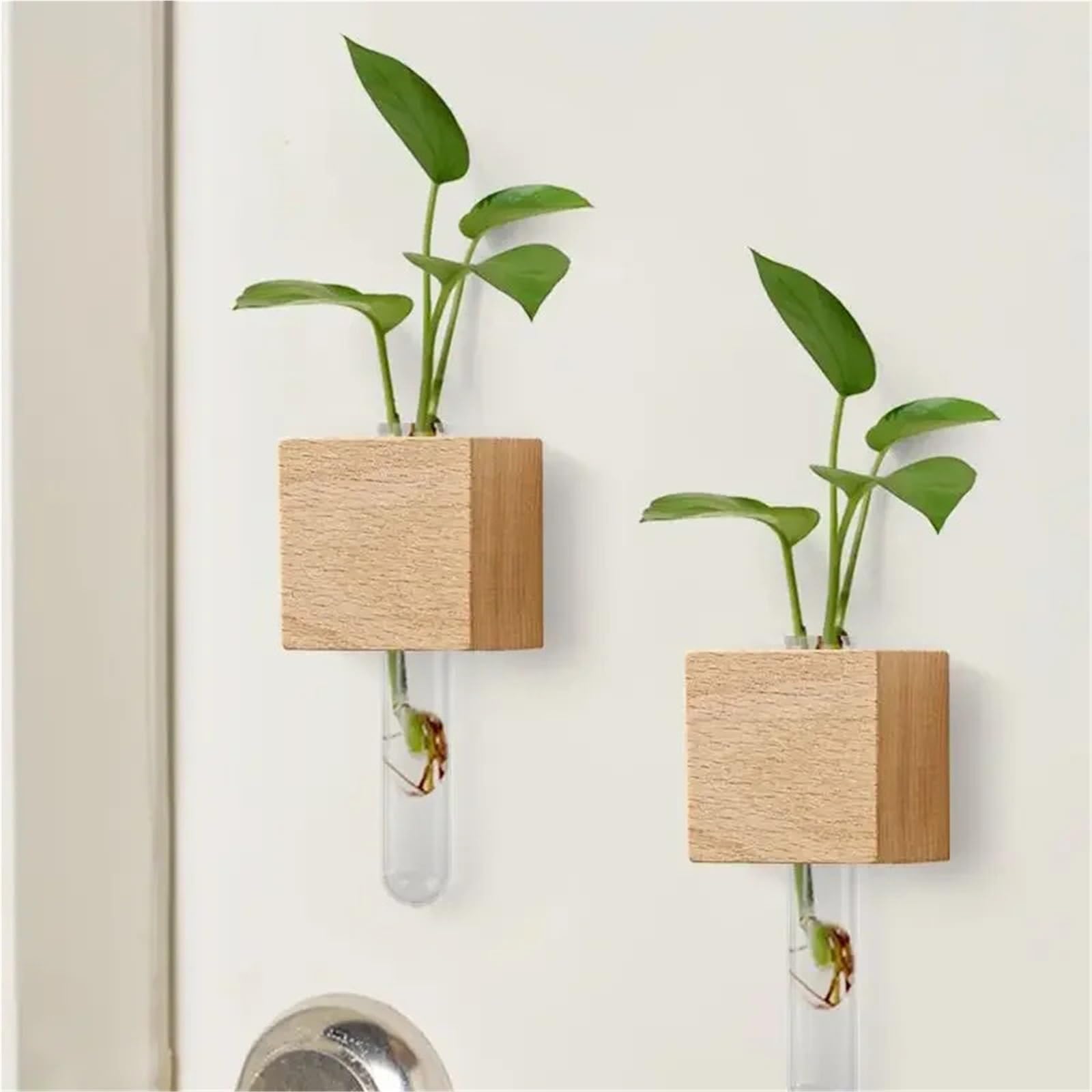 Wandvase Reagenzglas-Hydrokulturvase | Kühlschrank Home Decor Wohnzimmer Wand magnetische Vase(2pcs)