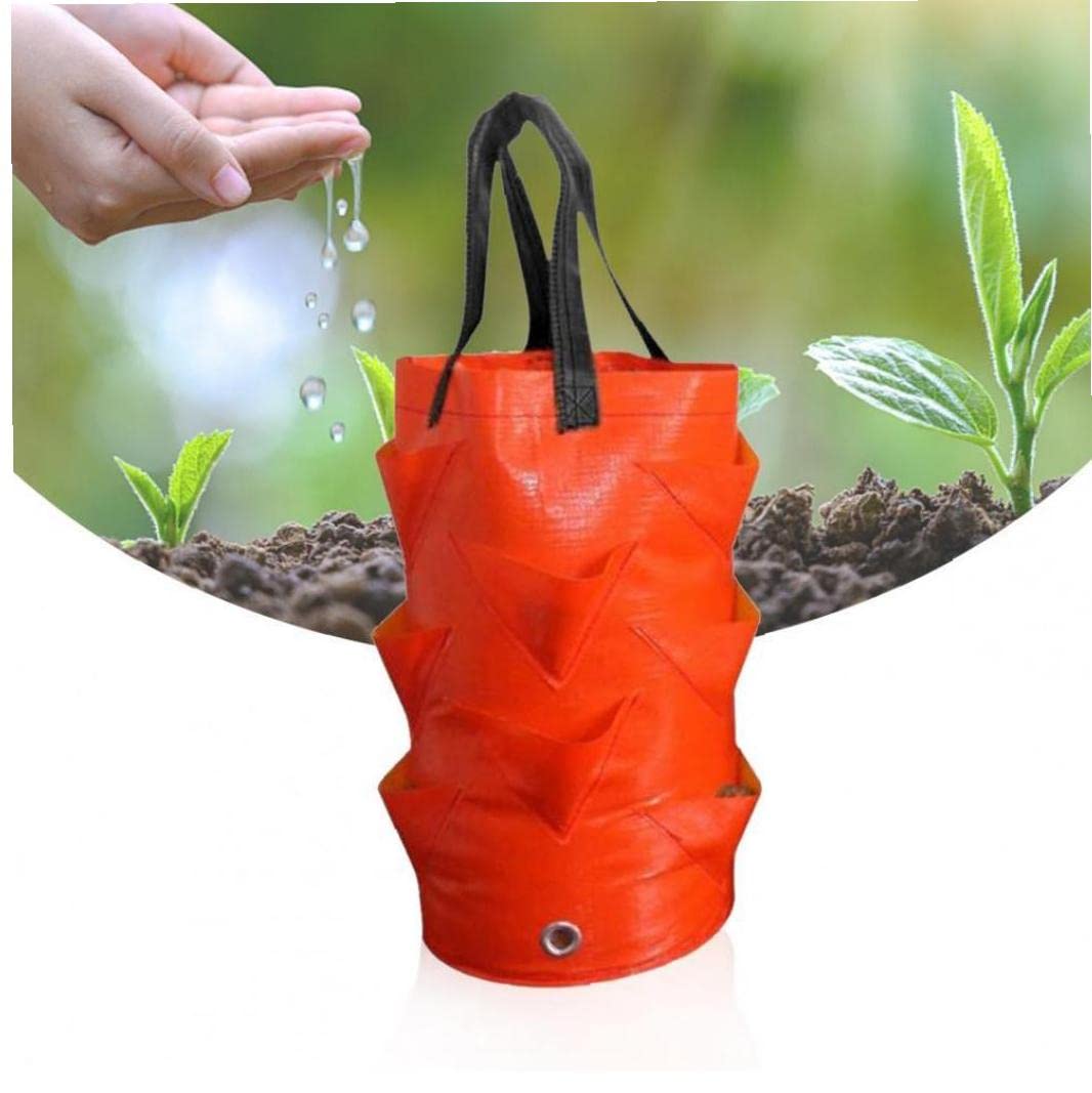 イチゴ栽培バッグ 3ガロン 12個の植え付け穴付き 吊り下げ フェルト