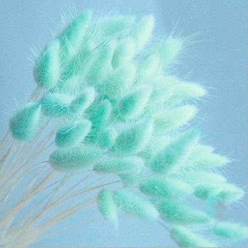 Miniatura 30 de Paquete de 100 gavillas de trigo seco marfil, arreglos de otoño premium, al por mayor, bricolaje, mesa para el hogar, boda, Navidad (amarillo)