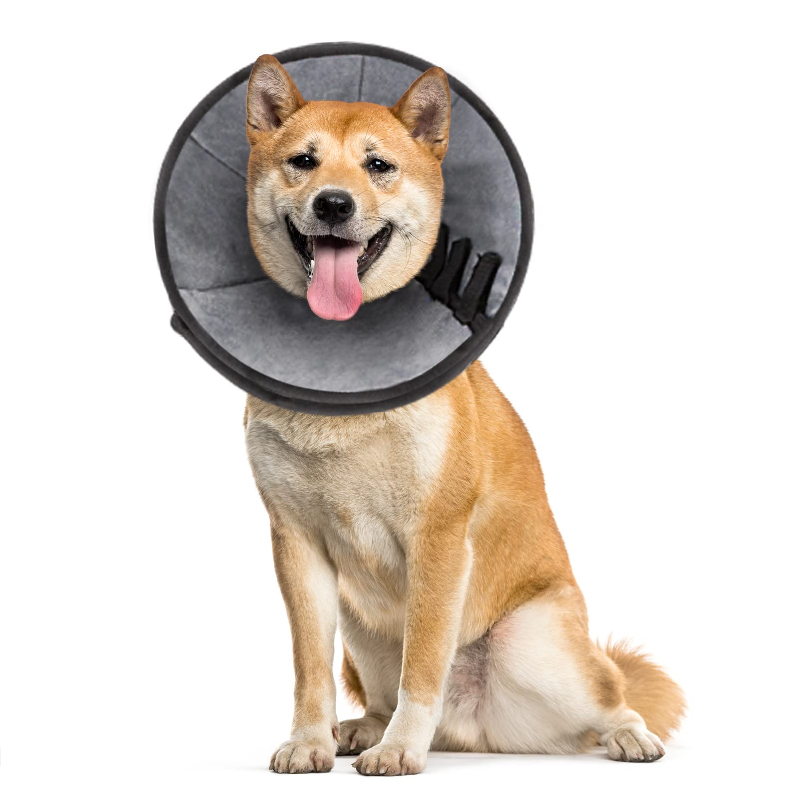 Dog Cones Soft Cone For Dogs After Surgery Dog Recovery