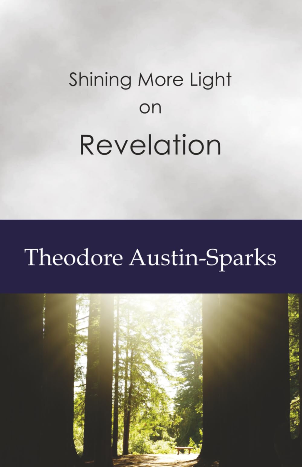 Shining More Light on Revelation