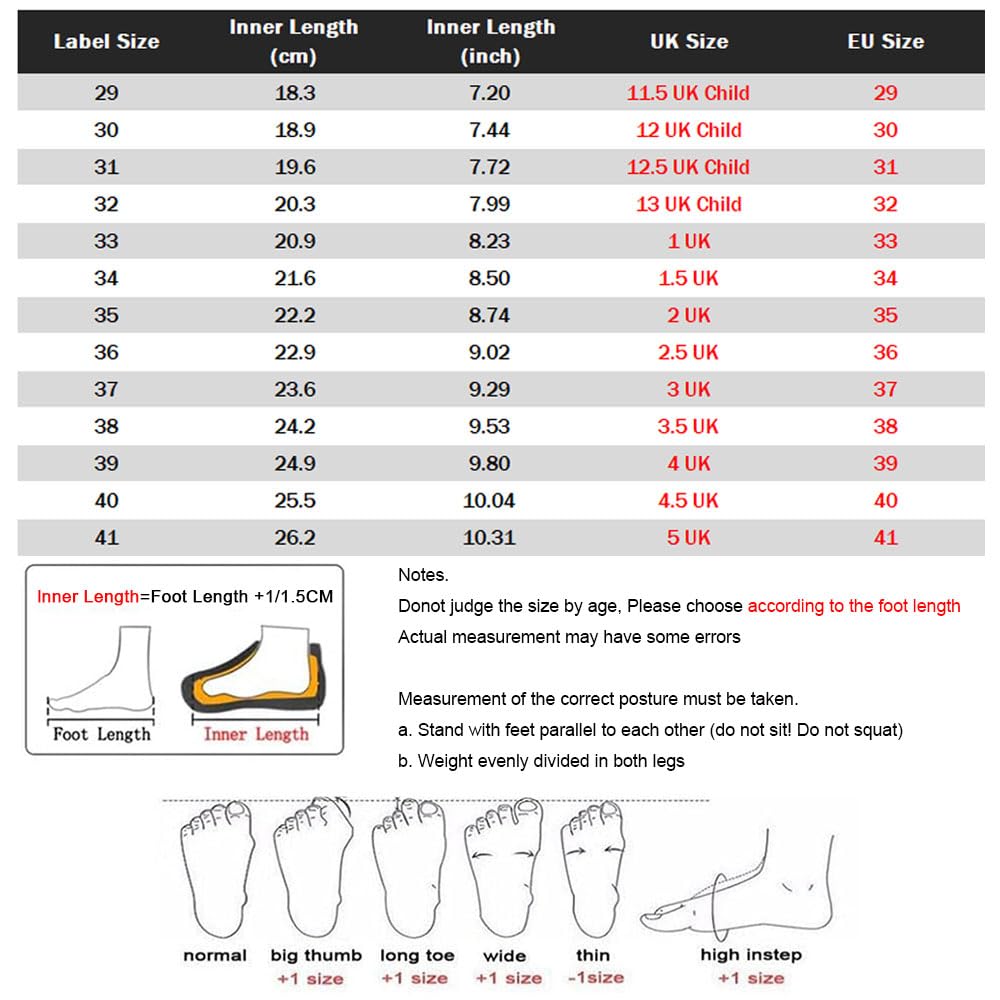 ENEN Zapatos con Ruedas, 2 Ruedas Zapatillas con Dos Ruedas para Niños y Niña Zapatillas con Ruedas Skateboarding Zapatos Bambas 29-40 EU