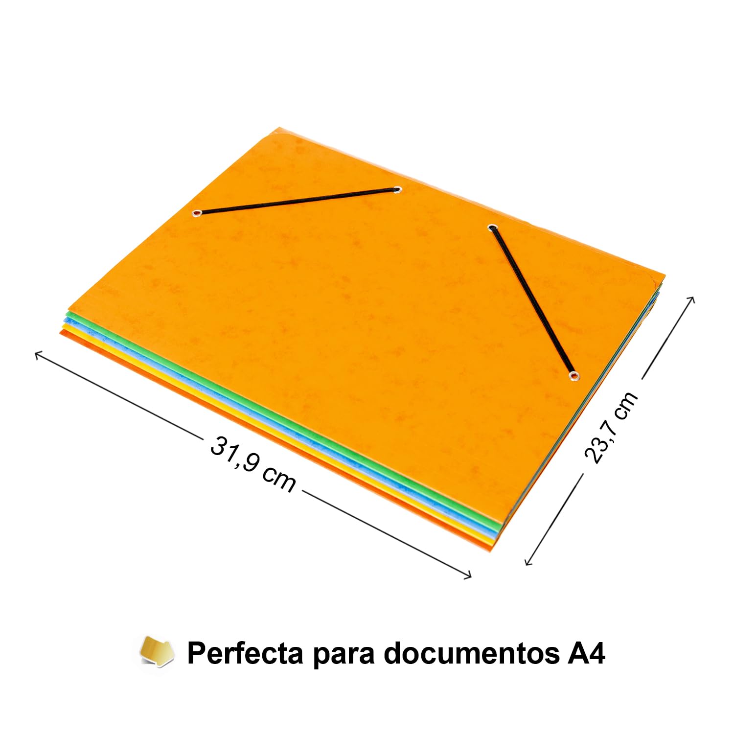 Grafoplas - Pack de 5 Carpetas de Cartón, A4 con Solapas y Cierre de Gomás Elásticas Cinco Colores Cartongraf XS, Colores Surtidos