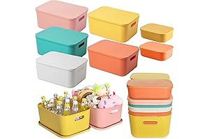 Colored Storage Bins with Lids