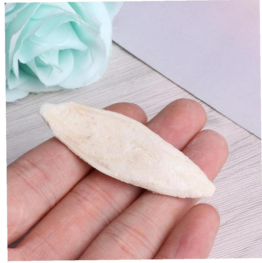 1 Bag Bird Desalting Cuttlebone Toy Cuttlefish Sepia Bone Training Chew Molar Toy for Parrot