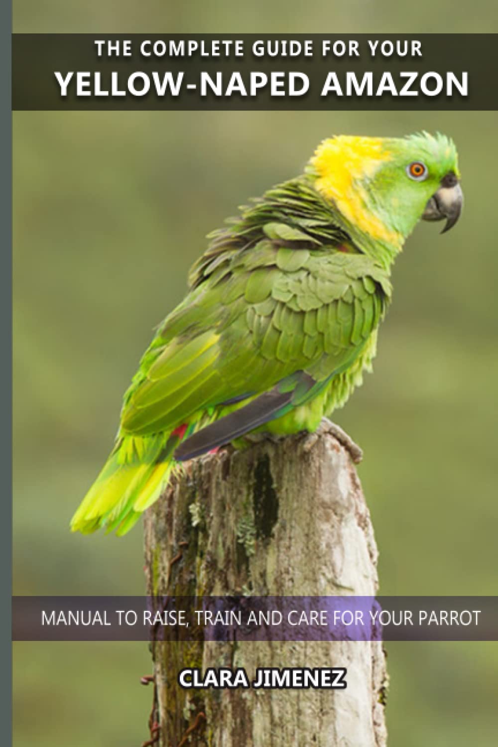 The complete guide for your Yellow-naped Amazon: Manual to raise, train and care for your parrot