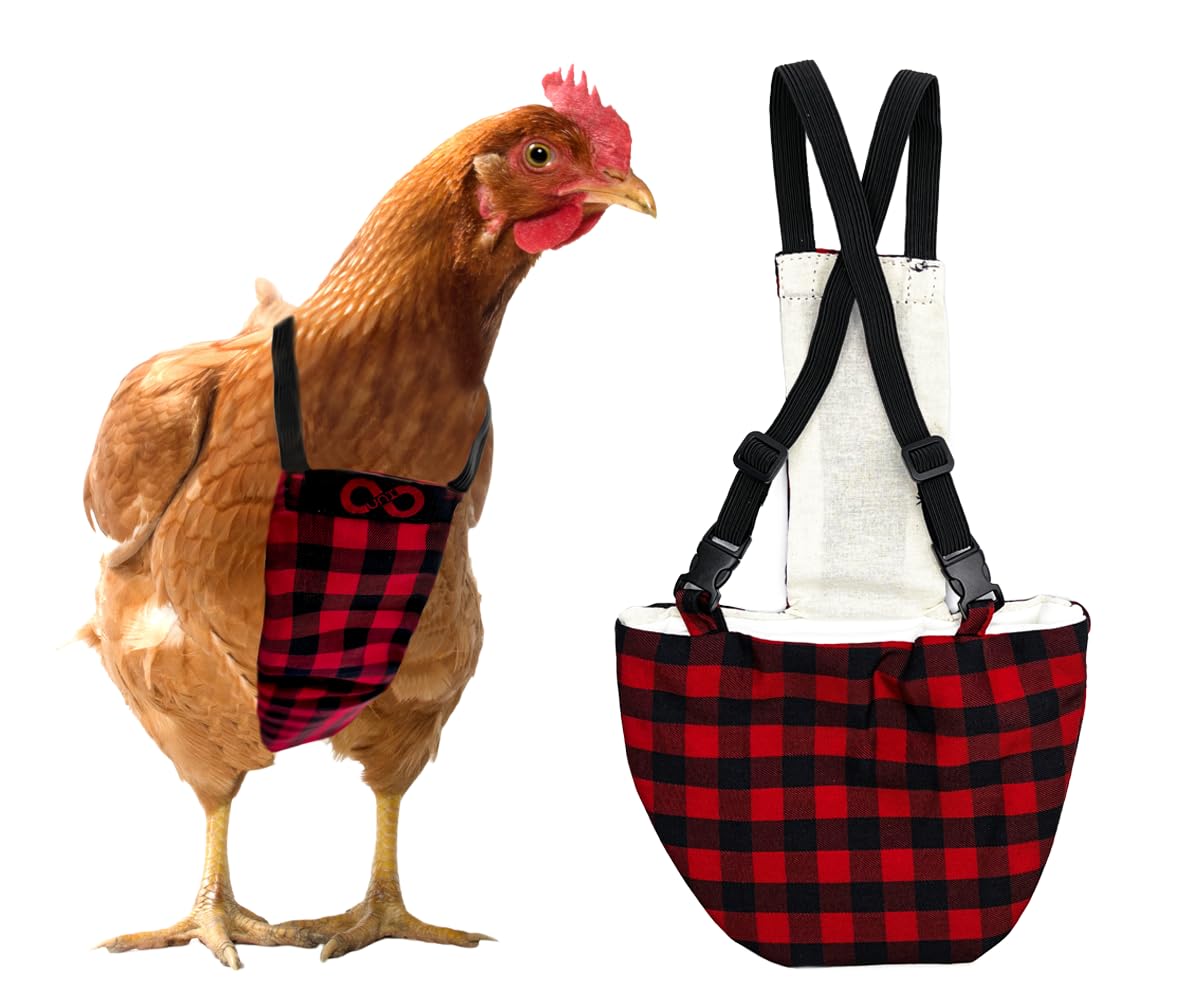 Chicken Diapers for Roosters, Hens, Ducks, Ducklings - Disposable Lining, Reusable, Adjustable, Size That FITS, Large, XL by Uni Infinity (Red and Black Plaid, Chicken Large, 1, Count)