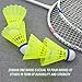 ZHENAN Badminton Birdies,12 Pack Nylon Badminton Shuttlecocks-Hight Speed Batting Training Practice Birdie Ball for Indoor and Outdoor Sports Matches,Highly Stable & Durable Shuttle Balls