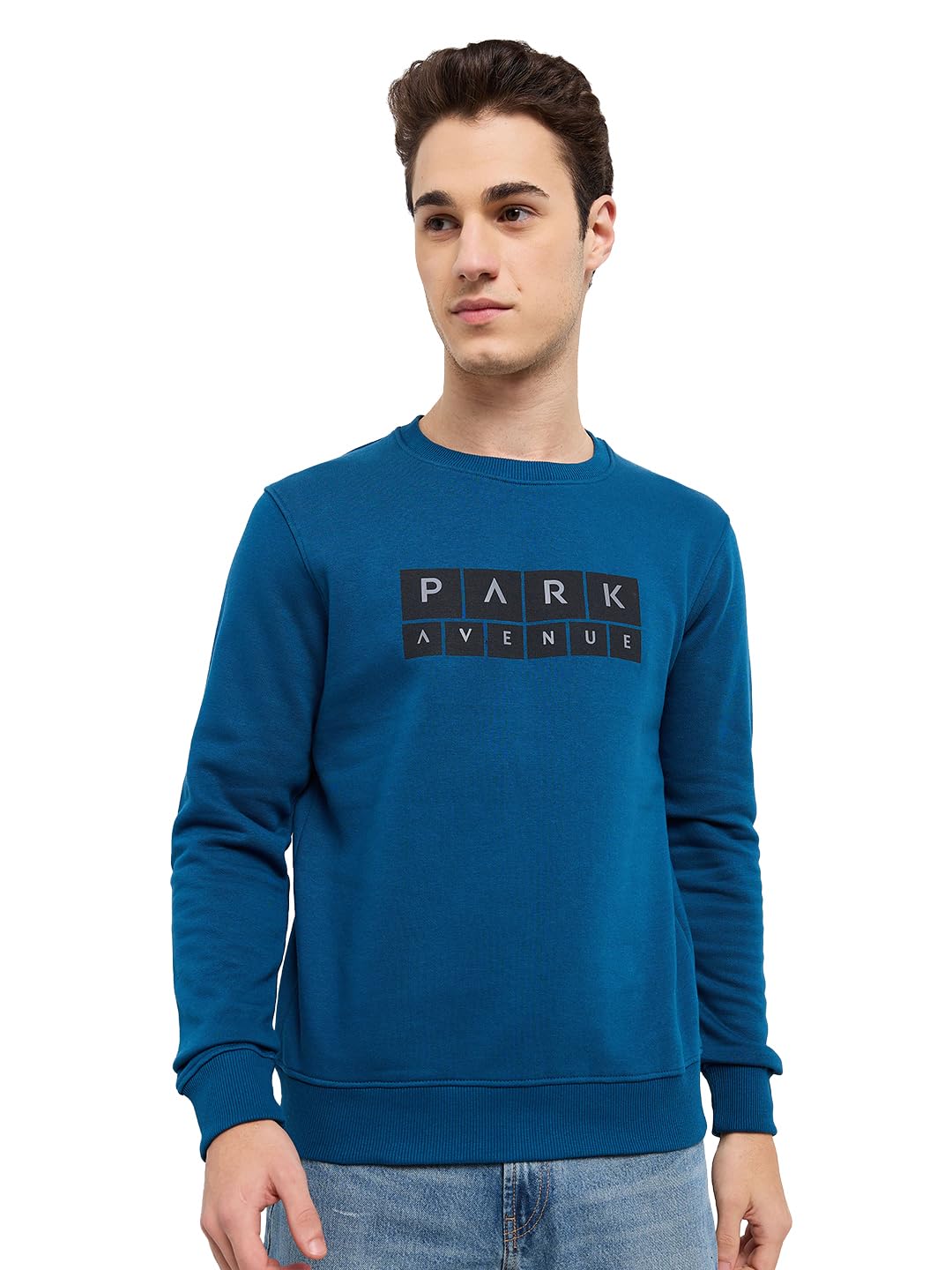 Park Avenue Men Full Sleeve Slim Fit Print Pattern Cotton Polyester Blend Regular Neck Regular Neck Casual Sweatshirt-picture-38