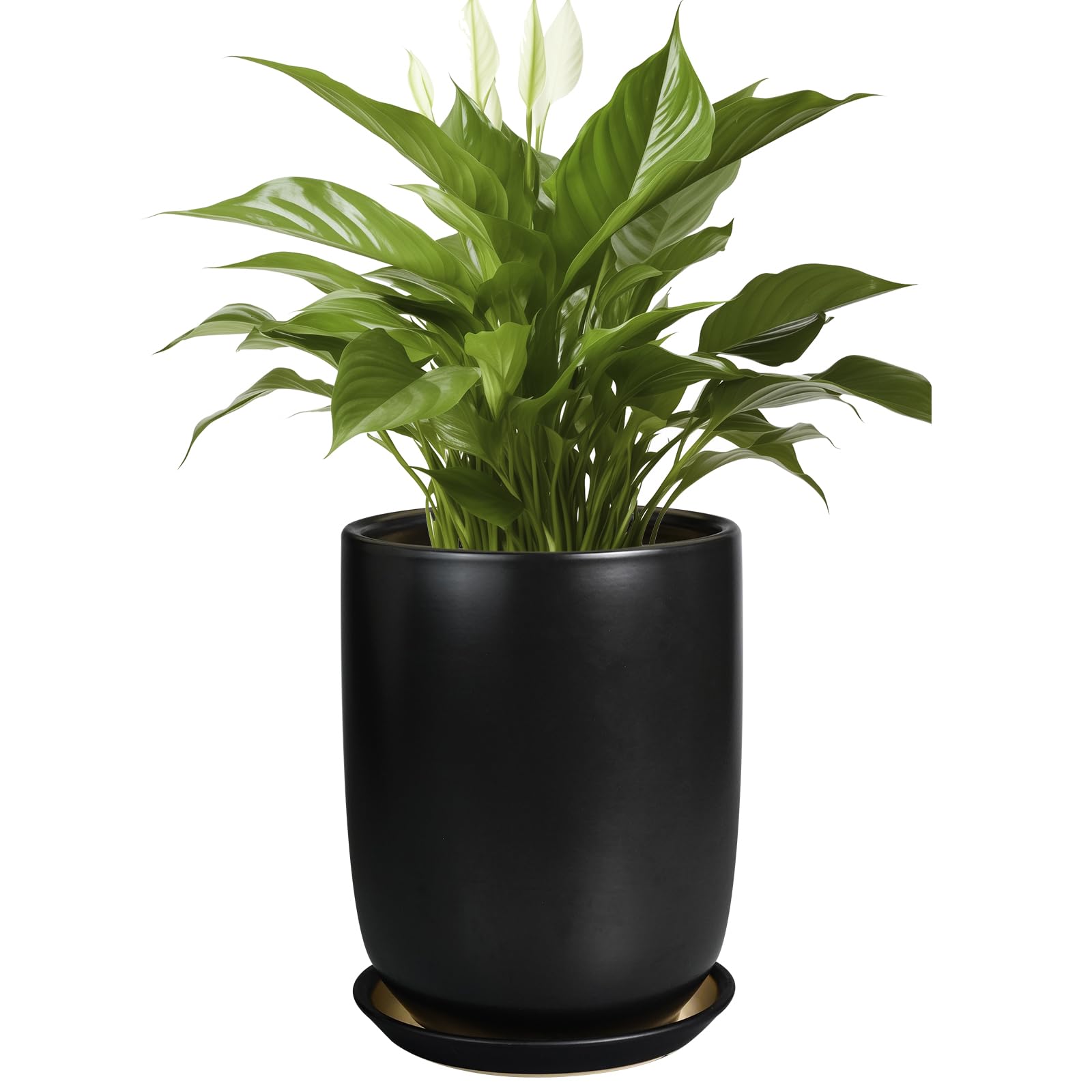 SUNPOTFOR Ceramic Planter 8 Inch - Plant Pot for Indoor Outdoor Plants Cylinder Flower Pot with Drainage Hole and Saucer Black