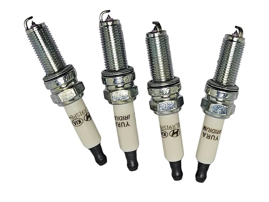 Amazon.com: Genuine OEM 18868-08095 Spark Plug 4 PCS Set