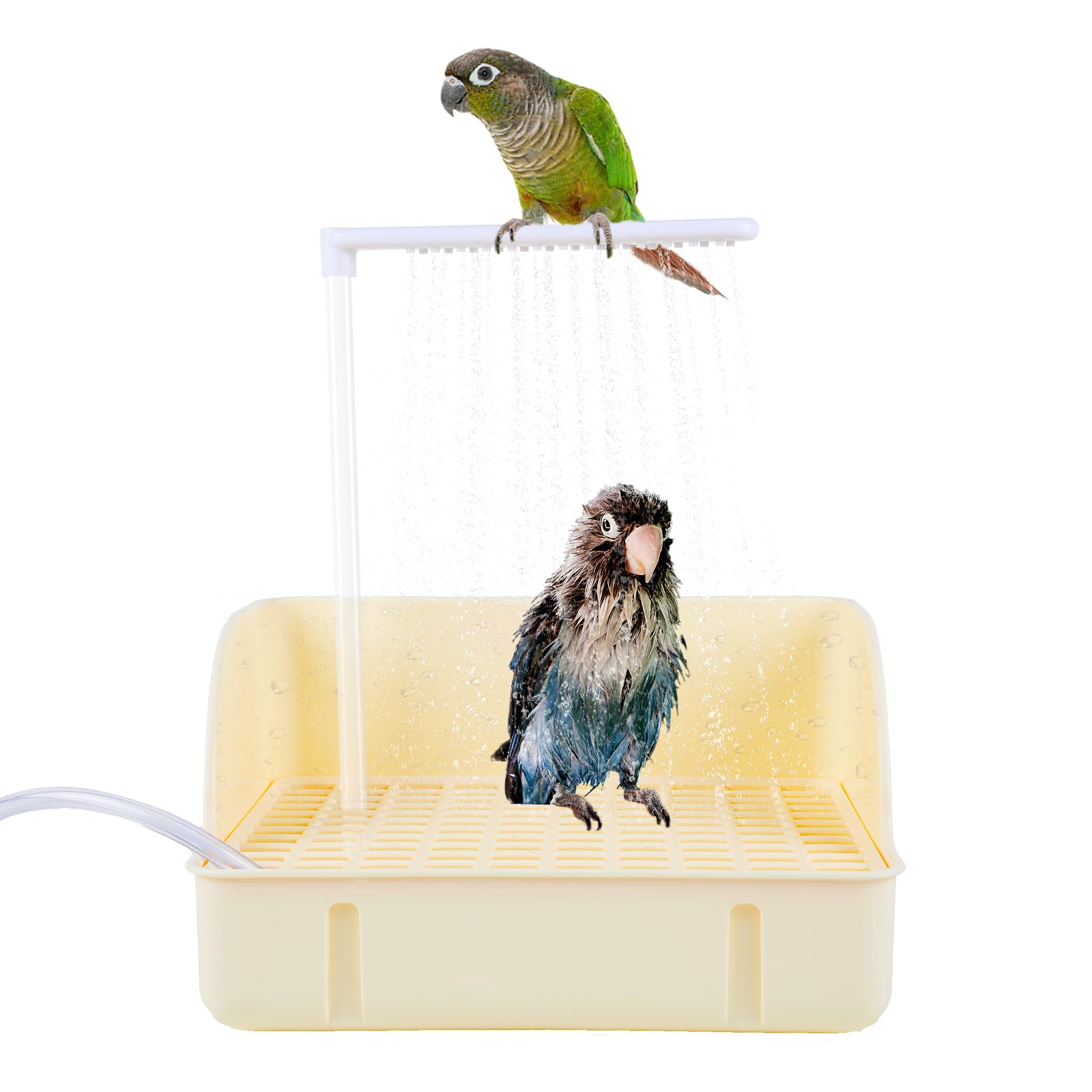Baignoire pour perroquet électrique pour animer le quotidien de la cage