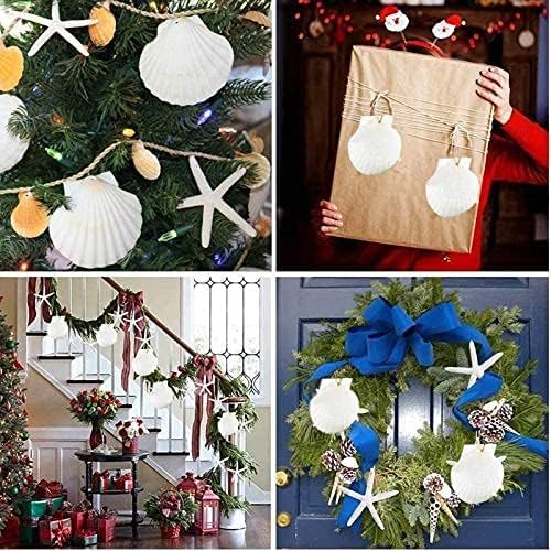 SEAJIAYI 15 PCS 3-4 Inches Large Starfish 2-6 Inch Mixed Natural Scallop Shells Perfect for Wedding Decor Beach Theme Party, Home Decorations, DIY Crafts, Fish Tank