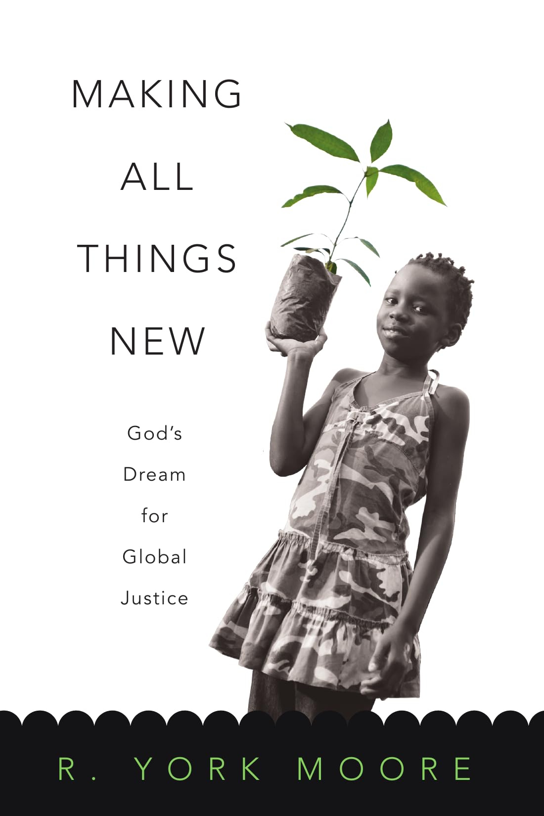Buy Making All Things New: God's Dream for Global Justice — BookShops.in