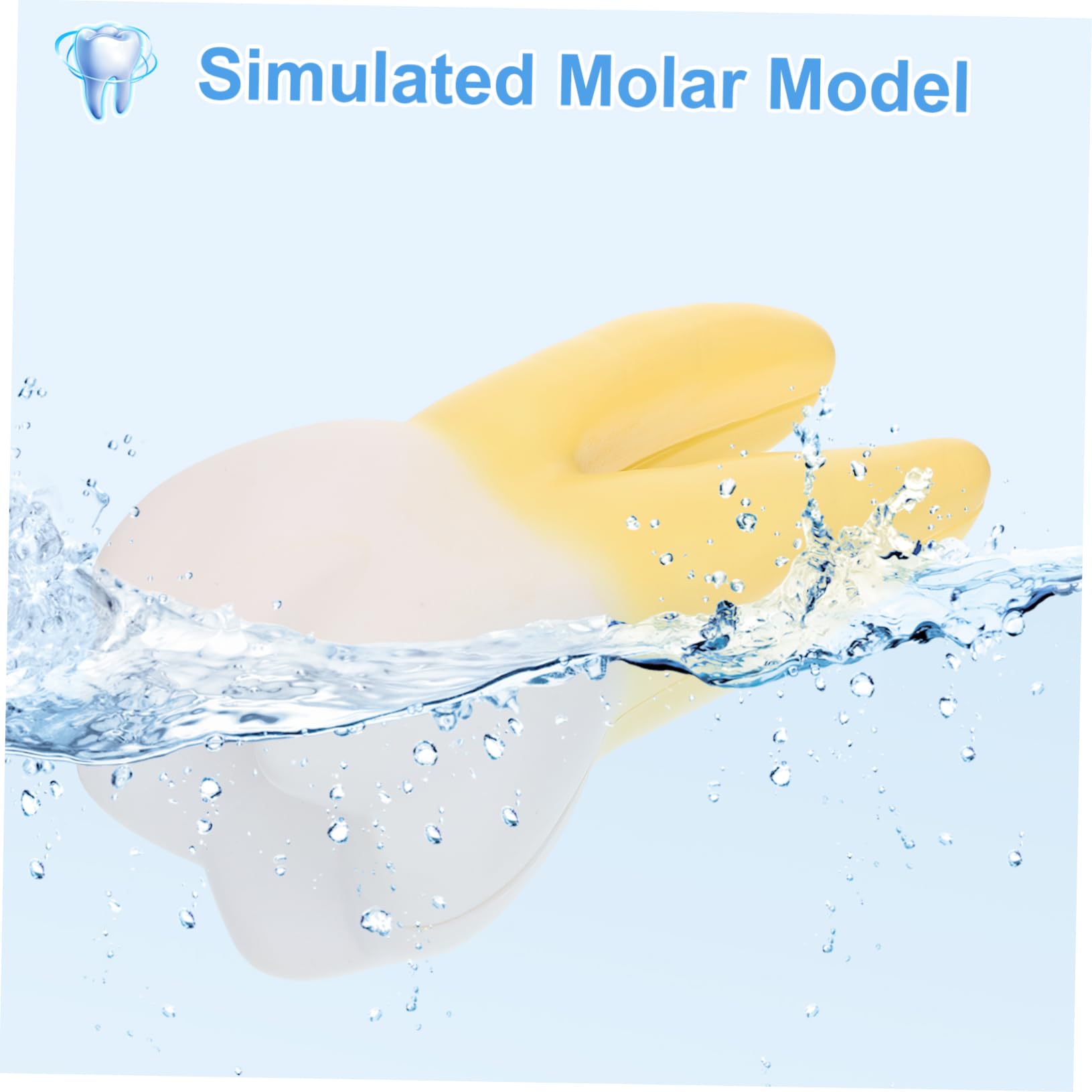 Modello Molare Anatomico in Pvc per Dimostrazione Dentale | Giallo, Leggero, Realistico, per Cliniche Odontoiatriche e Insegnamento