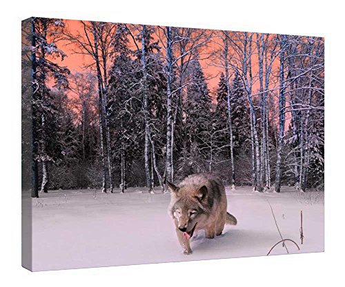 Toile loup encadrée bois pour une déco nature dans votre chambre