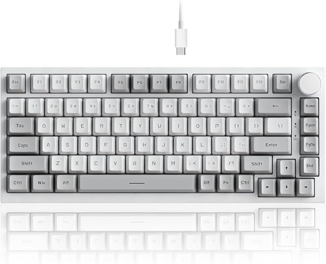 AJAZZ AK820 Wired 75% Mechanical Keyboard, Red Switches, Hot-Swappable | 81key PBT Keycaps, White Backlit 20 modes, Metal Volume Knob, USB-C, Gasket Mount, 5-layer Foam, Dual Drivers Options, PC/Mac