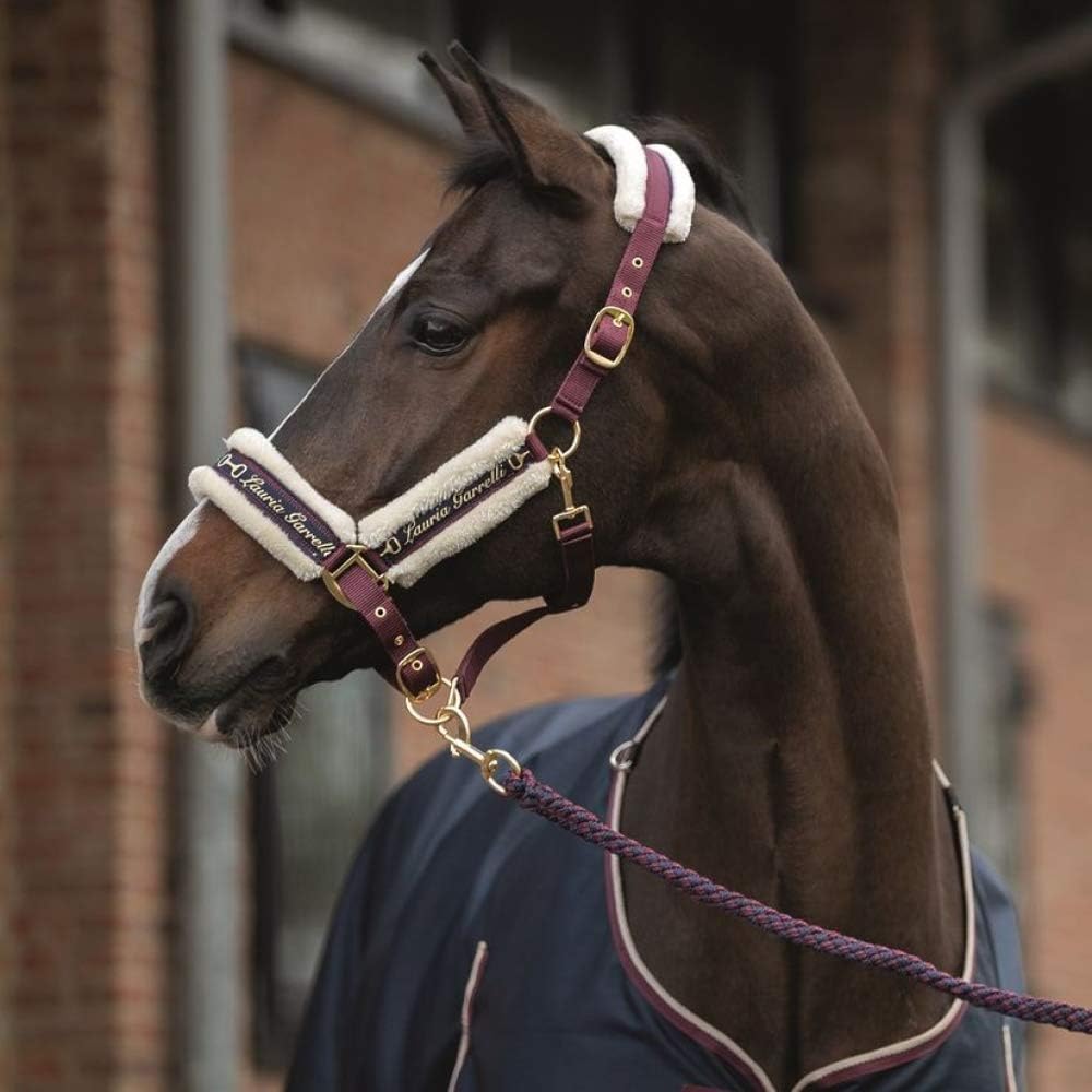 HKM Head Collar Horse Halter - Indigo - Navy Blue with Fleece Padded Nylon Halter - Lauria Garrelli