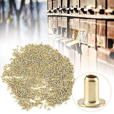 Beekeeping Eyelets Set 1000Pcs Beehive Frames Eyelets, Brass Beekeeping Eyelets Brass End Threading Hole, Eyelets Beehive Box Wiring Support Beekeeper Nest Hive