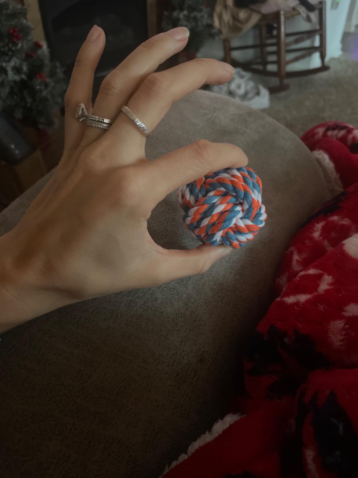 Dog Toys 25 Pack for Fun and Teeth Cleaning, Puppy Chew Toys Pack with Squeak Plush Toy,Squeaky Toy Balls,Tug of War and Rope Toys for Puppy to Small Dogs photo review