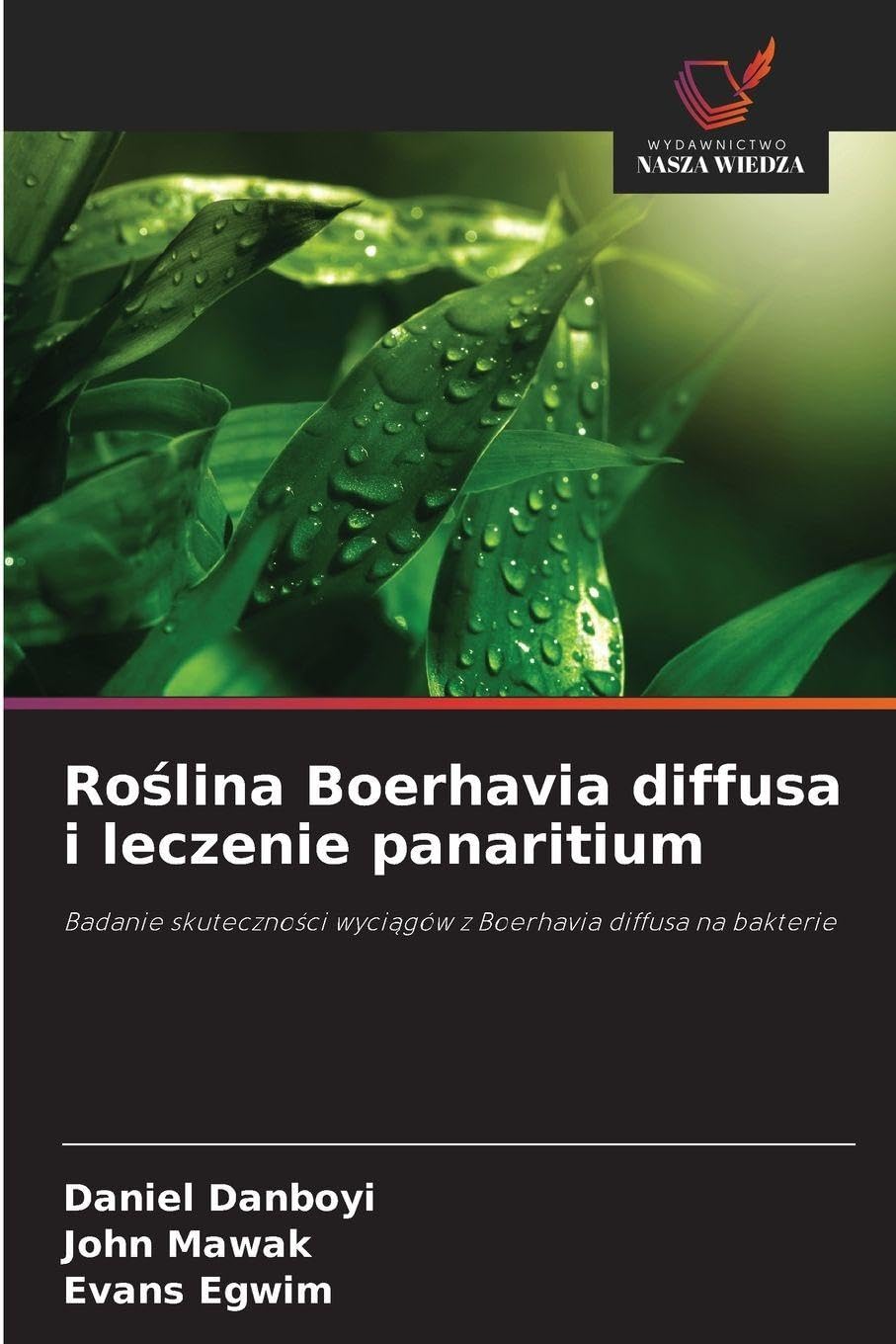Roślina Boerhavia diffusa i leczenie panaritium: Badanie skuteczno¿ci wyci¿gów z Boerhavia diffusa na bakterie