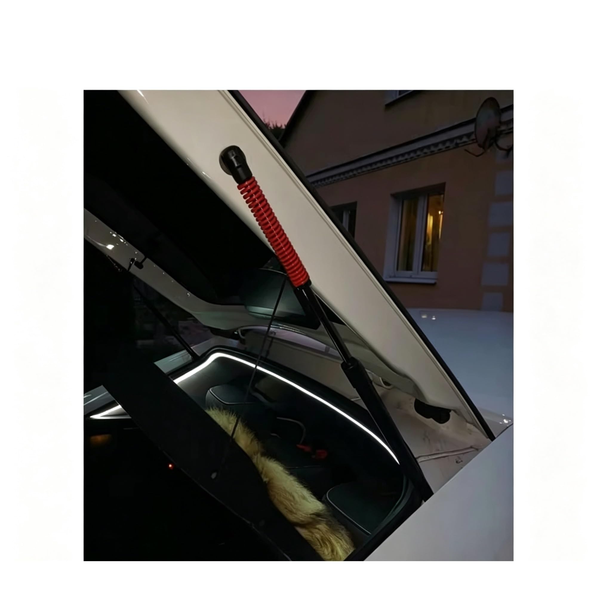 VéRin À Gaz Coffre Jambes Force Coffre Avec Ressorts