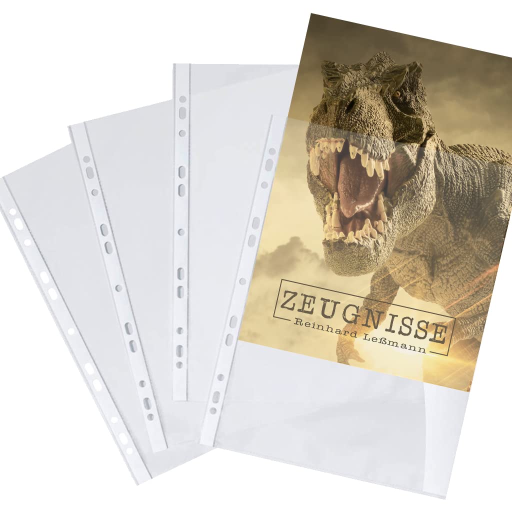 Zeugnismappe personalisiert mit Namen Dinosaurus A4 ca. 31x24 cm braun Zeugnisbuch Tyrannosaurus Rex Urkundenmappe Einschulung Schulanfang