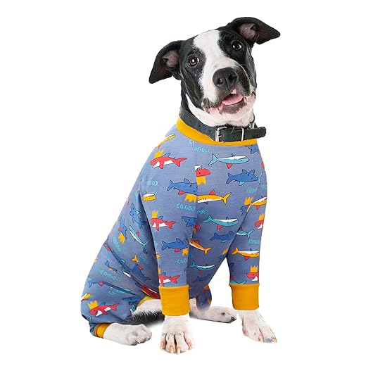 Yeapeeto Traje de rehabilitación para Perros postoperatorios, Suave, de Manga Larga, alternativas cónicas, para Evitar Fugas, para Perros Grandes y medianos (2XL, tiburón)