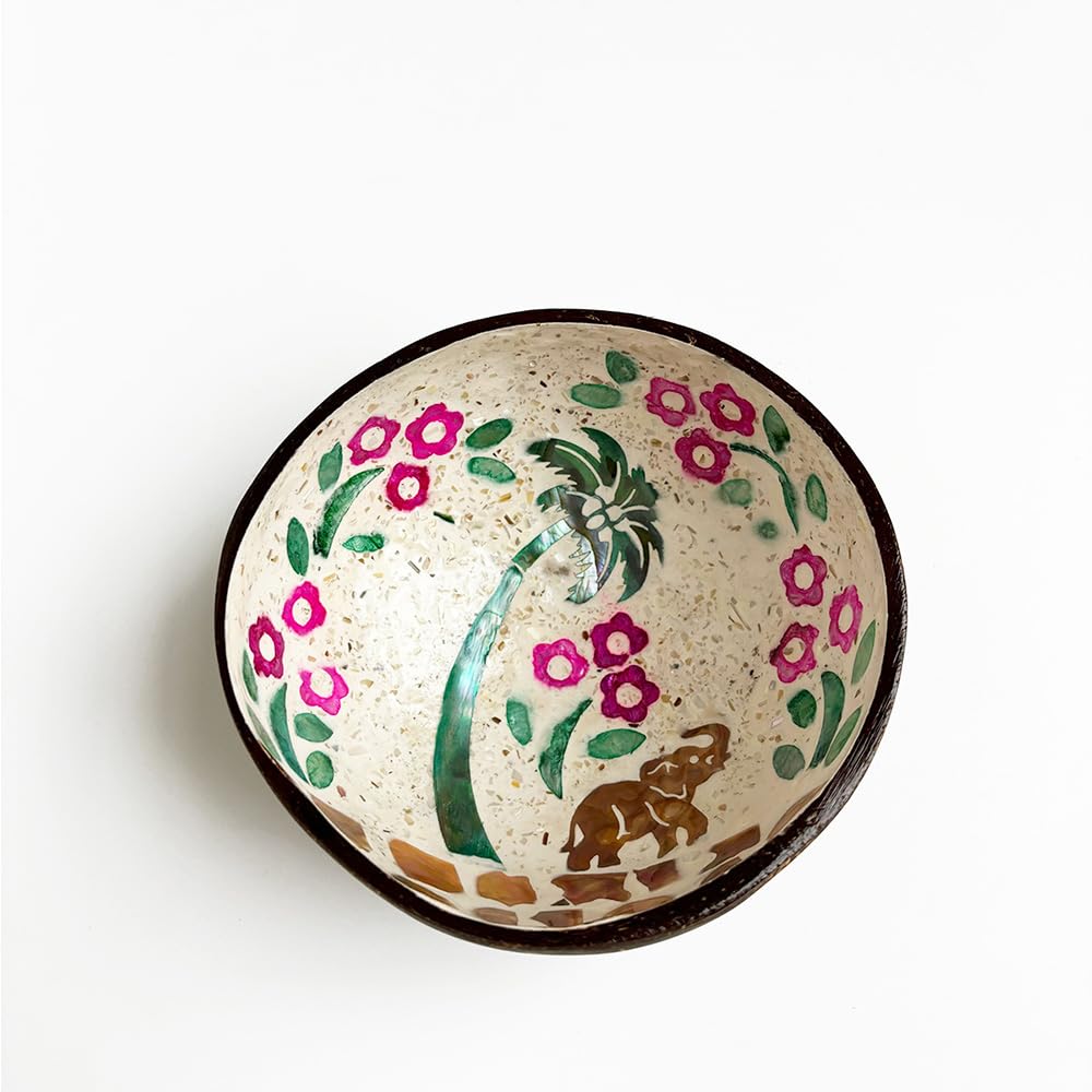 Hiseng Hand Painted Natural Coconut Bowl with Classic Prints - Decorative Key and Storage Bowl for Hallways, Jewellery, Nuts, Candy (Elephant)