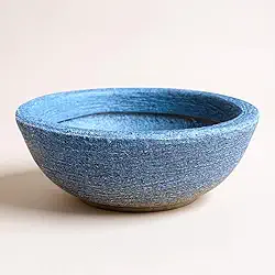 vaso para plantas e flores mini cuia bacia 22cm cactos suculentas decoração (Azul, 1 unidade)