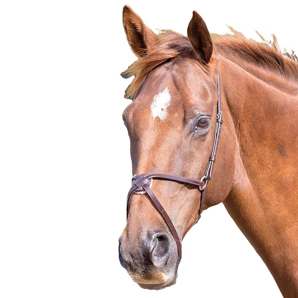 Shires Blenheim Mexican Noseband Pony Havana