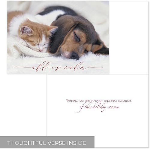 Miniatura 9 de Masterpiece Santa's Friend Tarjetas de Navidad  16 tarjetas navideñas en caja con sobres azules a juego  5 58 pulgadas x 7 78 pulgadas tarjetas de