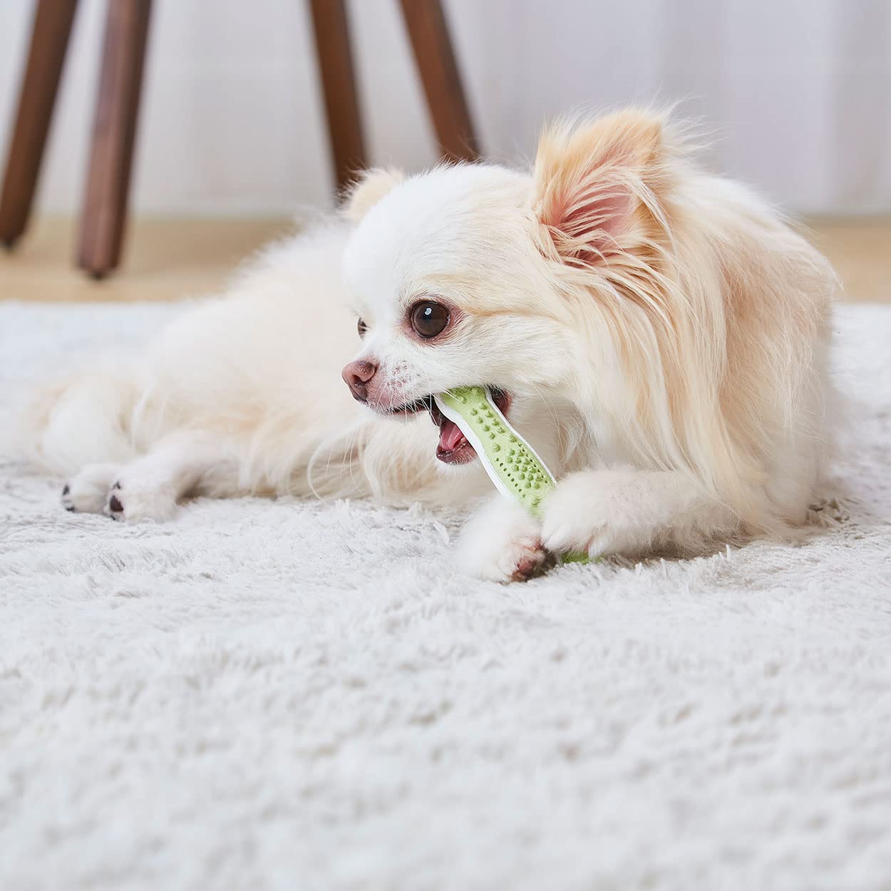 Amazon.co.jp: ペティオ (Petio) 犬用おもちゃ かんでるボーン
