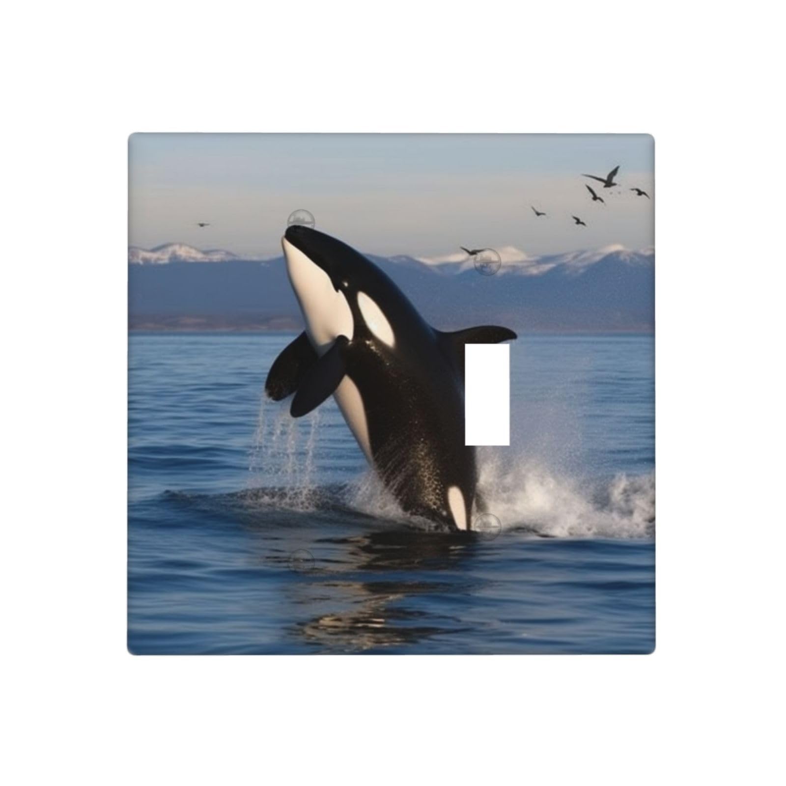Decorator Wall Plate 2 Gang Light Switch Covers Killer Whale Wallplate Double Toggle Switch Plate Mid-size Electrical Outlet Covers Decorative Wall Switch Plate Cover