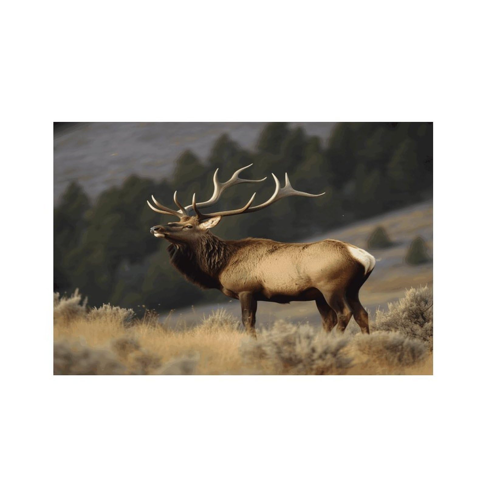 Bull Elk Placemats Non-Slip Heat Resistant Table Mats Flax Washable Cloth Place Mats Easy to Clean Premium Placemat for Kitchen Dining Table Decor Party Outdoor