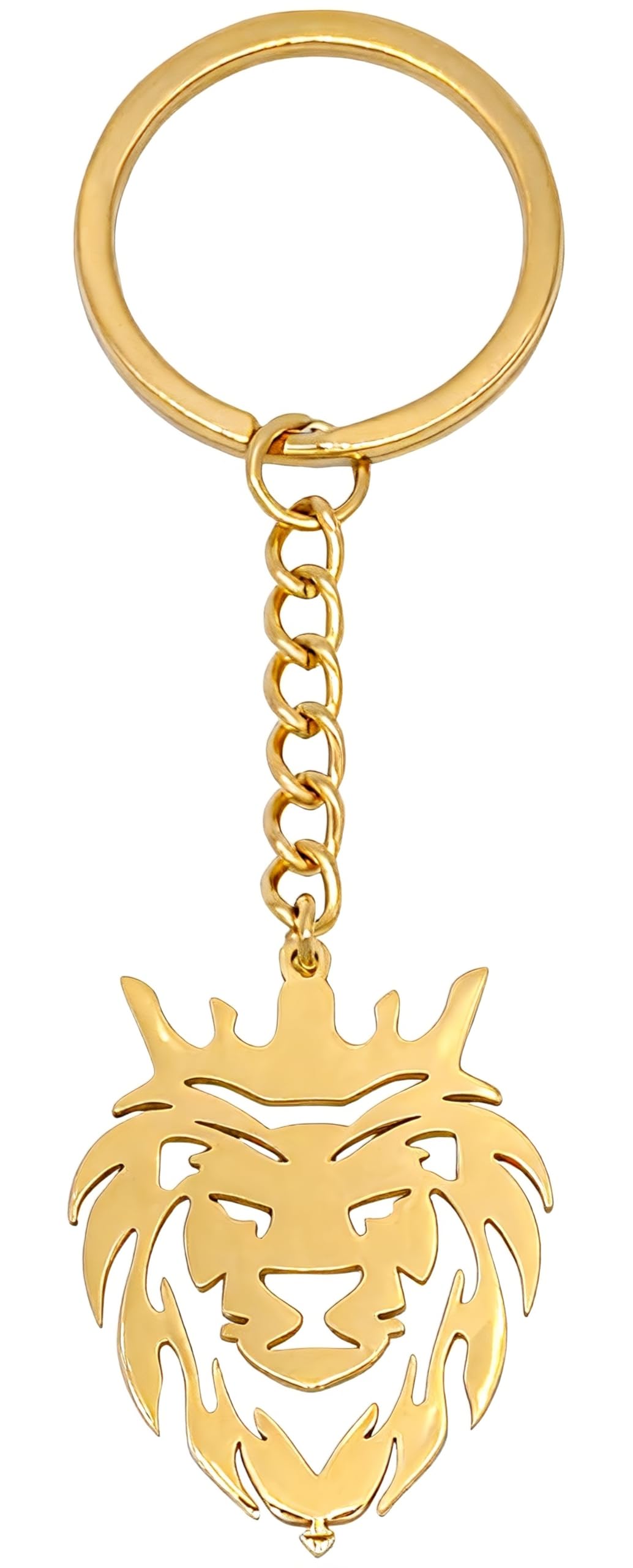 Moydolo Lion Keychain Charms Cute Animal Lion Head Key Chain Ring Gift for Handbags Purse