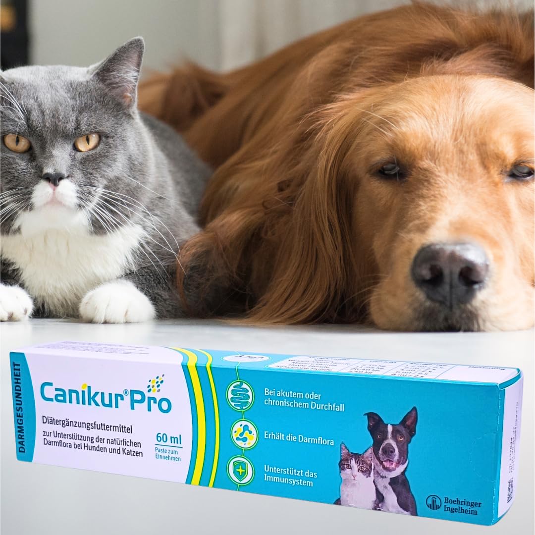 Canikur Pro 60 ml Paste I Diät-Ergänzungsfuttermittel für Hunde & Katzen I unterstützt Darmflora bei Futterumstellung, Antibiotika-Gabe & Verdauungsstörungen I Spar-Set plus Pharma Perle giveaway (1x)