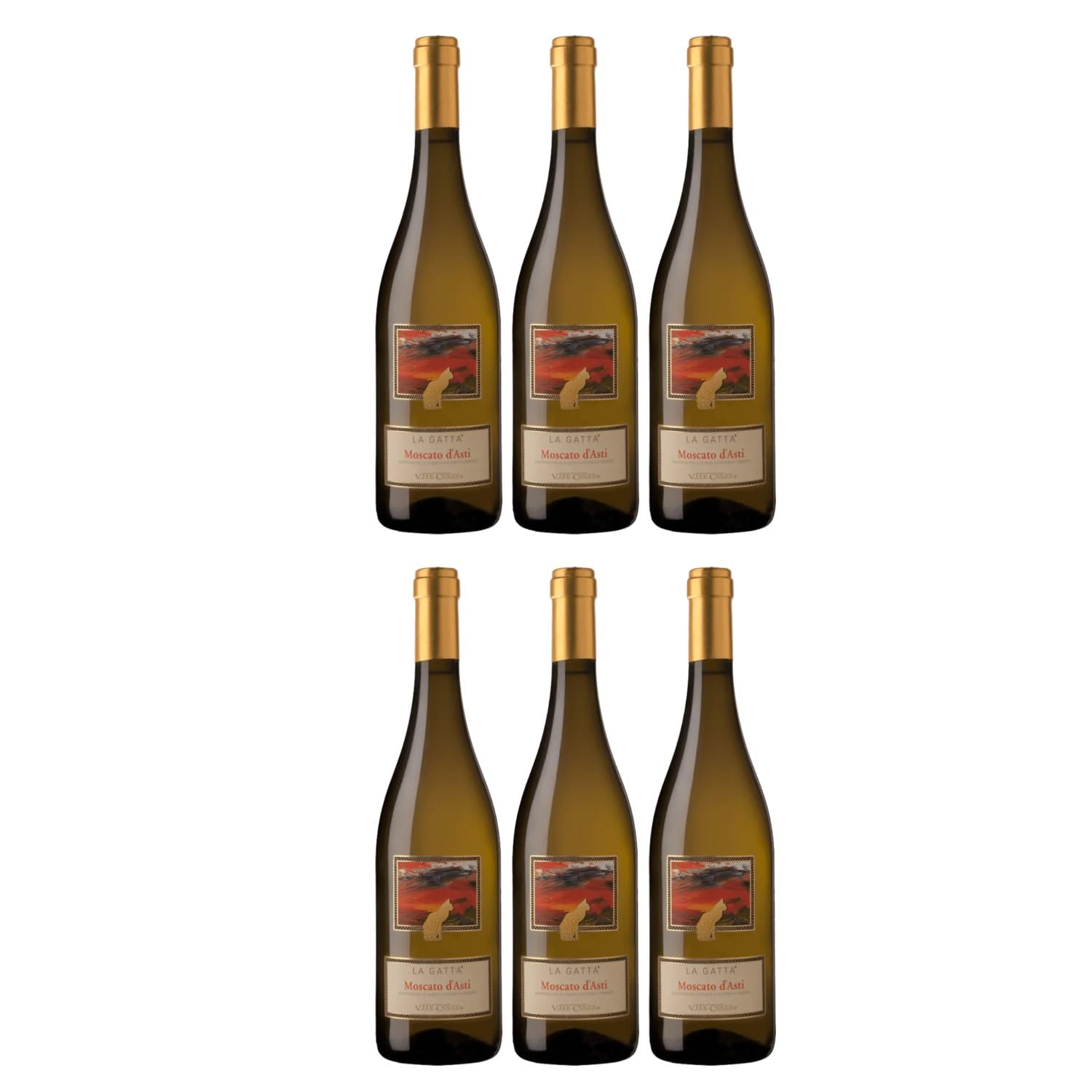 Terre Da Vino Vite Colte Moscato D'Asti La Gatta Moscato Weißwein weiß süß Piemont Italien inkl. FeinWert E-Book (6 x 0,75l)