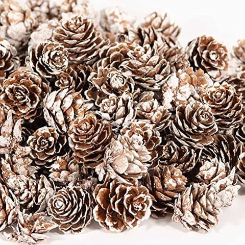 230 pcs Natural Pine Cones Christmas Rustic Pine Cones Bulk Ornaments with String for Xmas Thanksgiving Fall Party Craft Decorations Cover