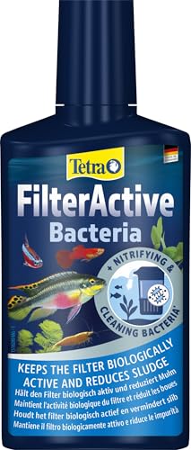 Tetra FilterActive Bacteria - 2in1 Mix aus lebenden Starterbakterien und schlammreduzierenden Reinigungsbakterien, hält den Filter biologisch aktiv und reduziert Mulm, 250 ml