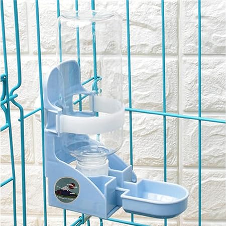 Amazon Gifty うさぎ 水飲み器 500ml お皿タイプ 小動物 水飲み ボウル ウサギ モルモット 自動 給水器 Gifty 給水器 ウォーターボトル 通販